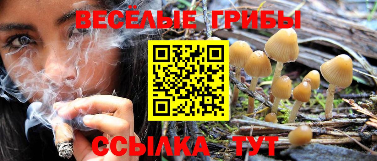 Псилоцибиновые грибы мухоморы  Вход с VPN  Новый Уренгой 